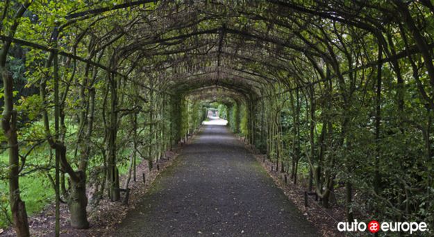 Hampton Court Maze, London UK