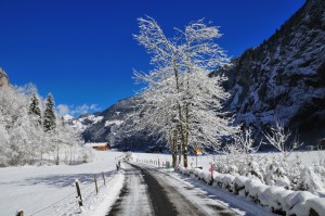 Snow Alpine Road