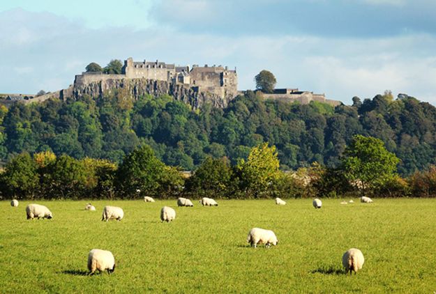 Stirling Castle in Scotland - Glasgow Day Trips